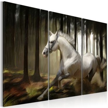 Table - A white horse in the middle of the trees