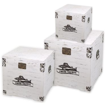 Salmon storage boxes