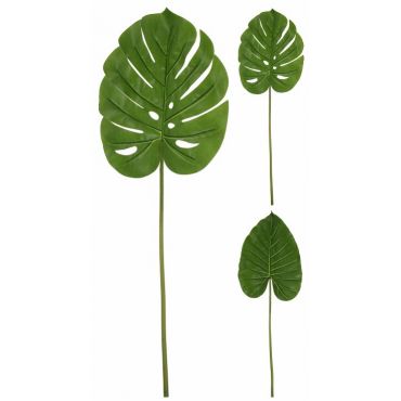 Mixed Monstera & Philodendro mini leaves