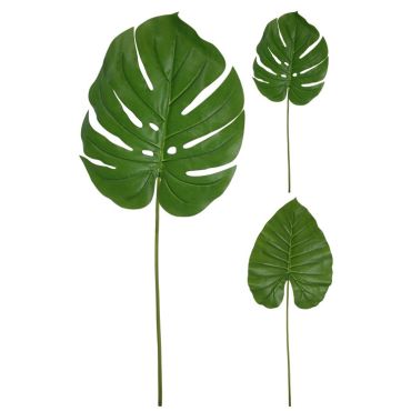 Mixed Monstera & Philodendro leaves