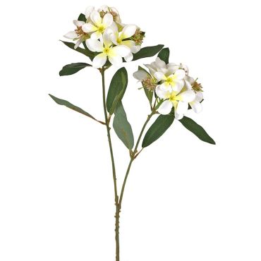 Decorative branch with oleander flowers