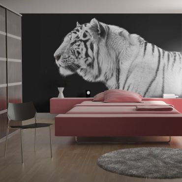 Wallpaper - White tiger