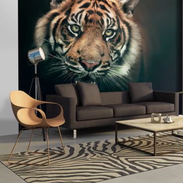 Wallpaper - Bengal Tiger