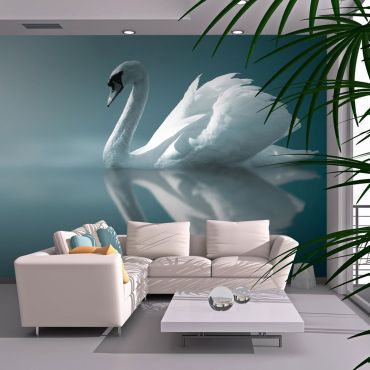 Wallpaper - White swan