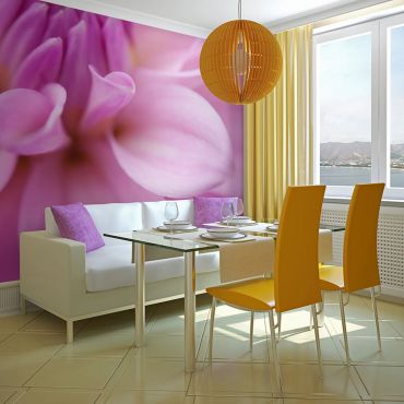 Wallpaper - Flower petals - dahlia