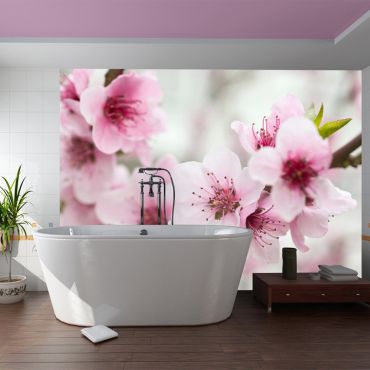 Wallpaper - Spring, blooming tree - pink flowers