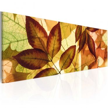 Canvas Print - collage - leaves 120x40