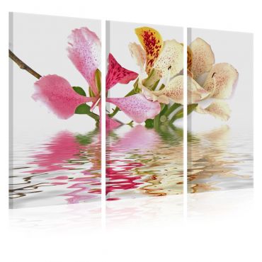 Canvas Print - Orchid with colorful spots
