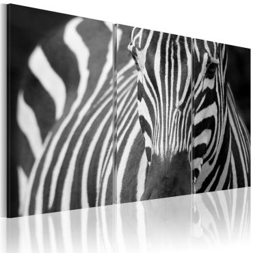 Canvas Print - Mrs. Zebra