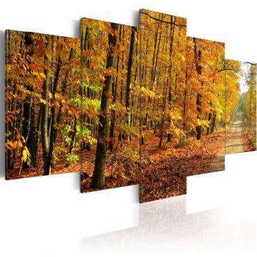Canvas Print - An alley among colorful leaves