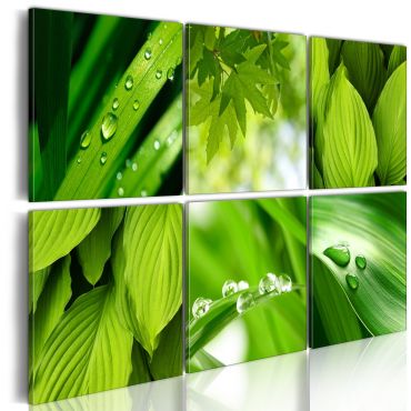 Canvas Print - Fresh green leaves