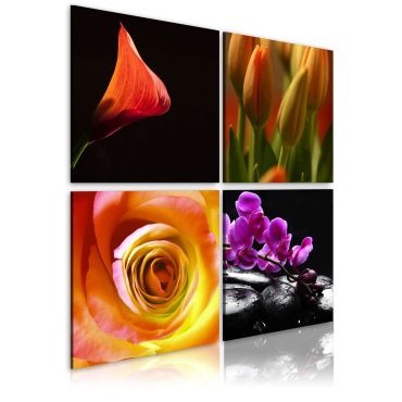 Canvas Print - The essence of beauty