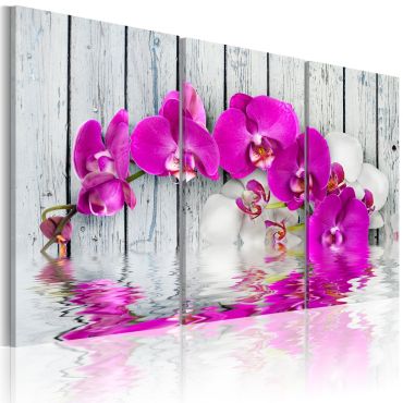 Canvas Print - harmony: orchid - Triptych
