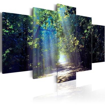 Canvas Print - Sunny Forest Path