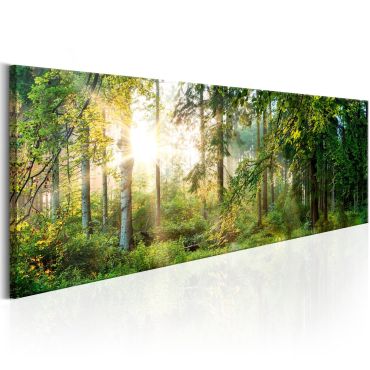 Canvas Print - Forest Shelter