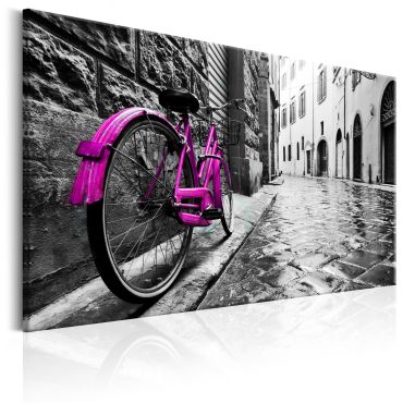 Canvas Print - Vintage Pink Bike