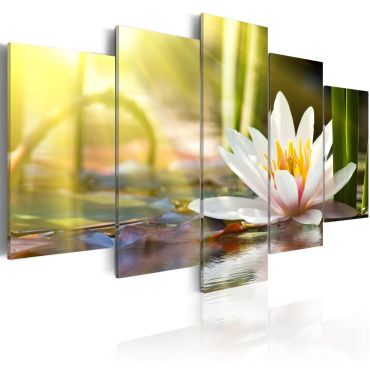 Canvas Print - Sunny Lotus
