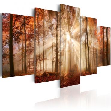 Canvas Print - Forest Fog