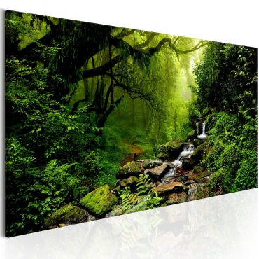 Canvas Print - The Fairytale Forest