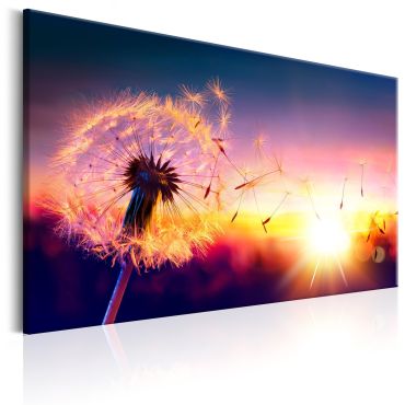 Canvas Print - Freedom of Nature
