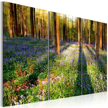 Canvas Print - Spring Forest