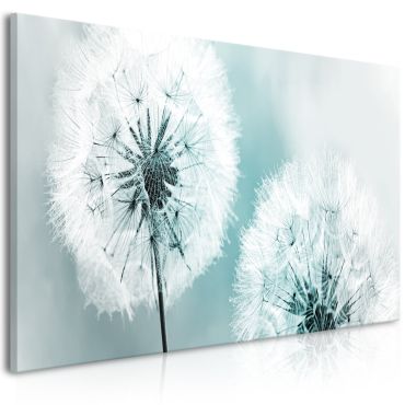Canvas Print - Fluffy Dandelions (1 Part) Blue Wide 100x45