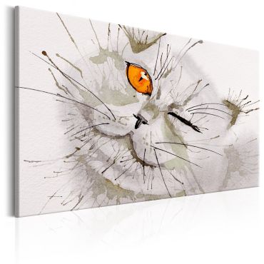 Canvas Print - Grey Cat