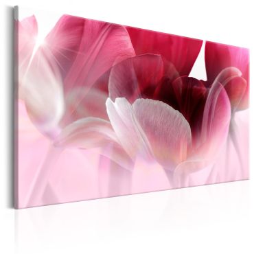 Canvas Print - Nature: Pink Tulips