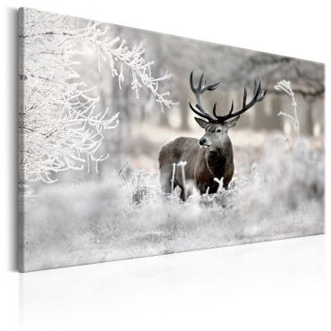 Canvas Print - Lonely Deer