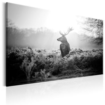 Canvas Print - Black and White Deer