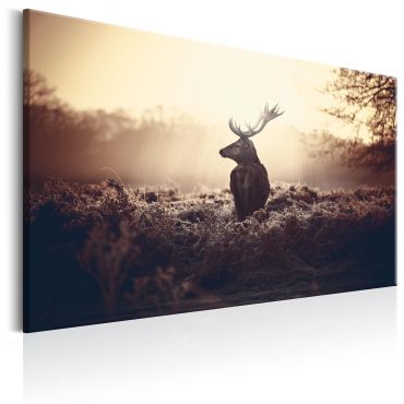 Canvas Print - Lurking Deer