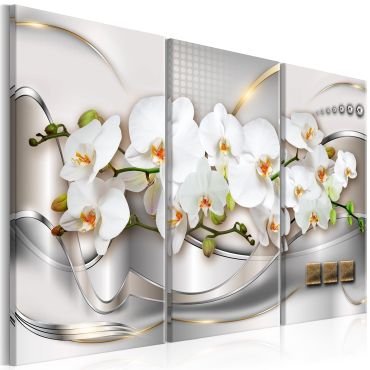 Canvas Print - Blooming Orchids I