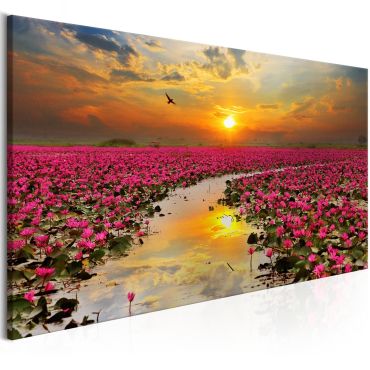 Canvas Print - Lily Field (1 Part) Wide 100x45