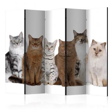 Διαχωριστικό με 5 τμήματα - Sweet Cats II [Room Dividers] 225x172