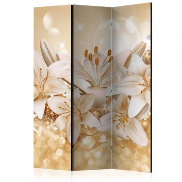Διαχωριστικό με 3 τμήματα - Royal Entourage [Room Dividers] 135x172