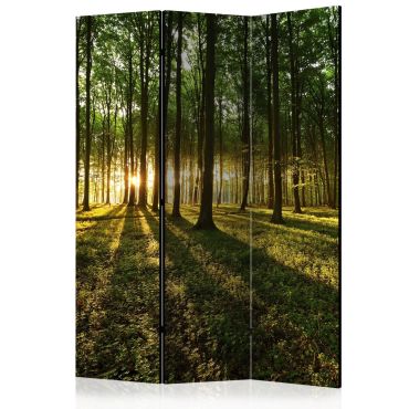Διαχωριστικό με 3 τμήματα - Morning in the Forest [Room Dividers] 135x172