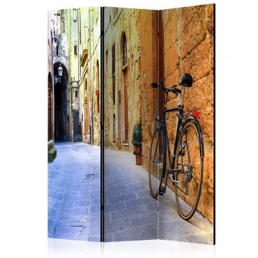 Διαχωριστικό με 3 τμήματα - Italy Holidays [Room Dividers] 135x172