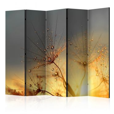 Διαχωριστικό με 5 τμήματα - Summer Solstice II [Room Dividers] 225x172