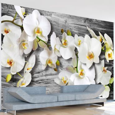 Wallpaper - Callous orchids III