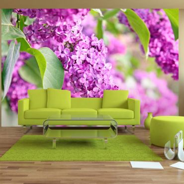Wallpaper - Lilac flowers