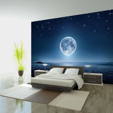 Wallpaper - Moonlit night