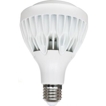 Λαμπτήρας LED E27 PAR30 25W 4000K Zoomable