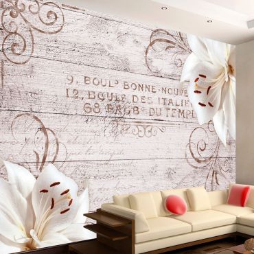 Self-adhesive photo wallpaper - Faub du Temple
