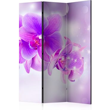 3-part divider - Purple Orchids [Room Dividers]