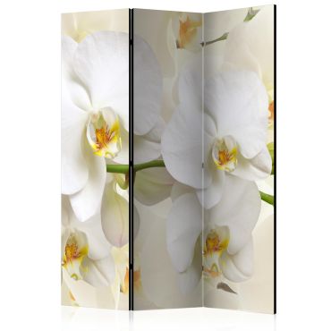 3-part divider - Orchid Branch [Room Dividers]