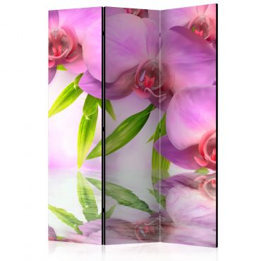 3-part divider - Orchid Spa [Room Dividers]