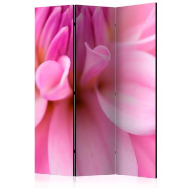 3-part divider - Flower petals - dahlia [Room Dividers]
