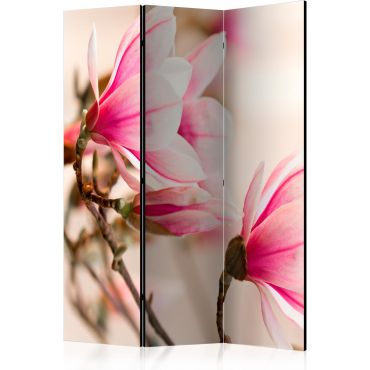 Divider with 3 sections - Branch of magnolia tree [Room Dividers]