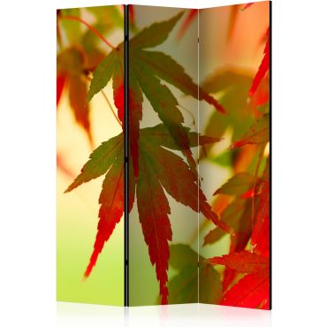Διαχωριστικό με 3 τμήματα - Colourful leaves [Room Dividers]
