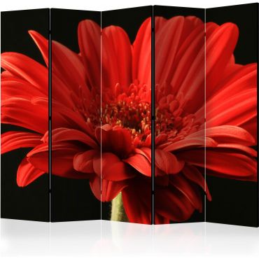 Separator with 5 sections - Red gerbera flower II [Room Dividers]